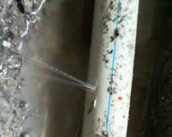 渝水卫生间测漏水多少钱