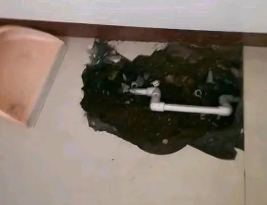 渝水卫生间测漏水多少钱